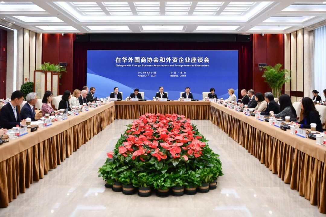 What are China's 24 Point Guidelines for foreign investment
