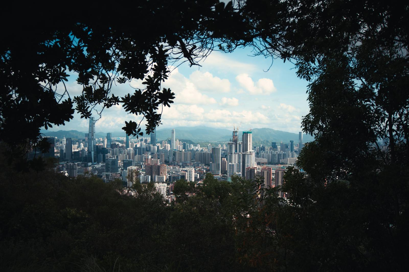Shenzhen skyline — guide to Shenzhen company registration for foreign investors