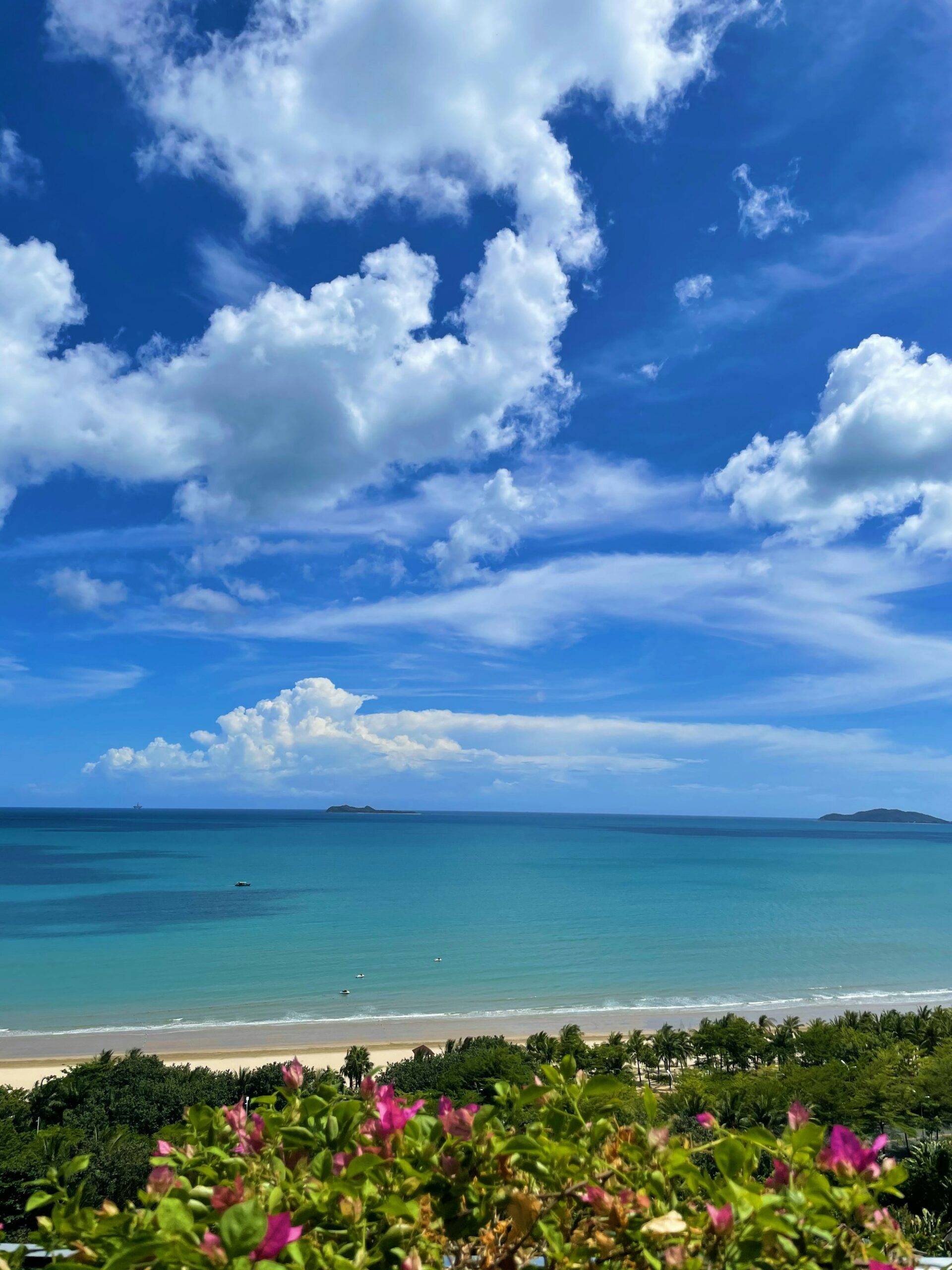 Hainan Free Trade Port - tropical beach view - MSA Asia China business advisory
