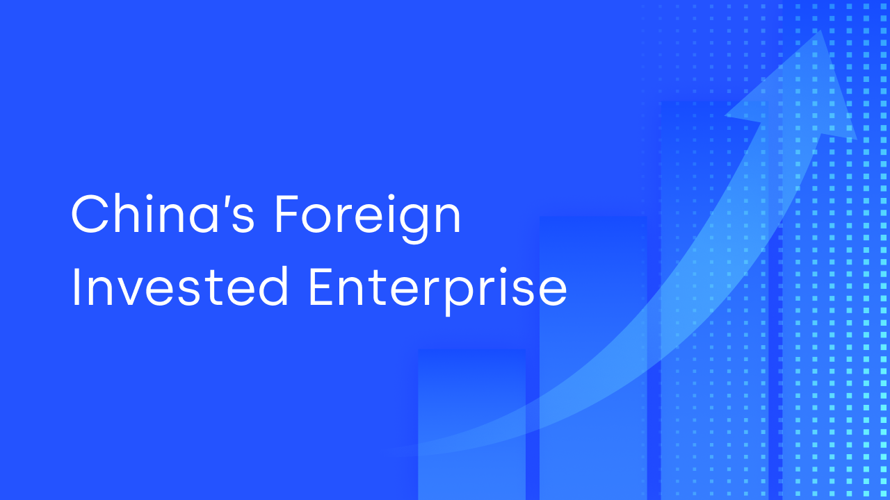 China’s Foreign Invested Enterprise (FIE)