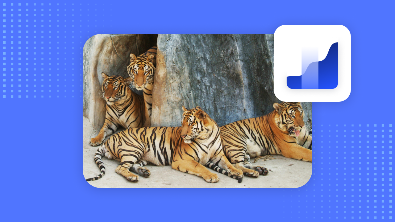 Four Asian Tigers: Economic Growth and Future Prospects