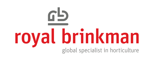 Royal Brinkman corporate logo with the tagline ‘global specialist in horticulture’ — a horticulture client supported by MSA Asia in China